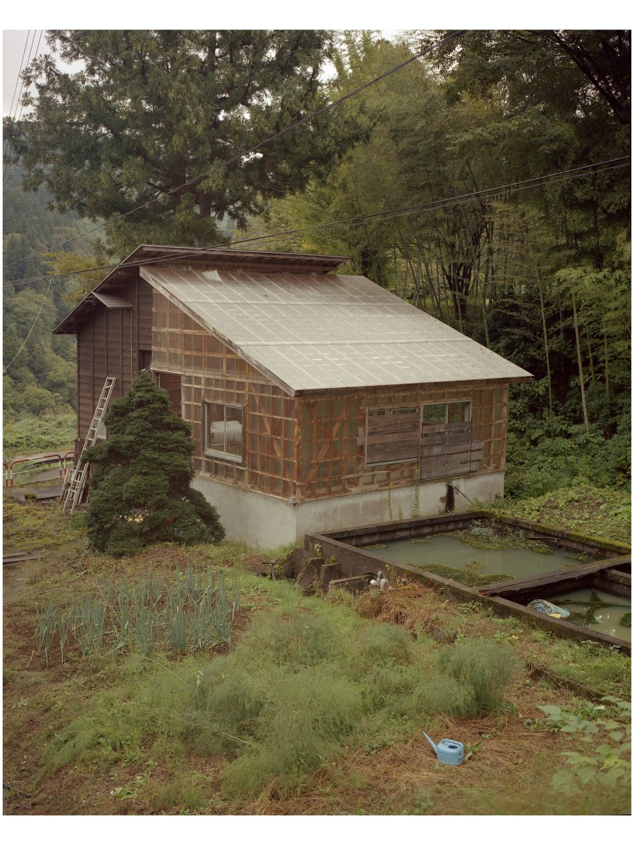 Nishiki goi