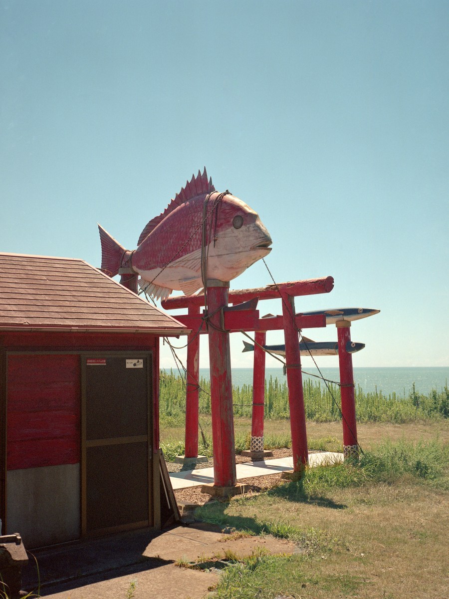 pesce rosso fuor d’acqua – Red fish out of&nbsp;water