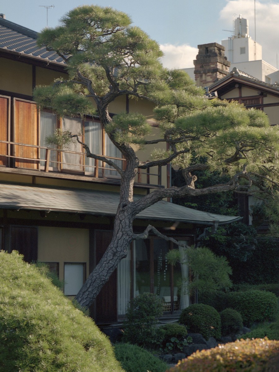 Un giorno per caso ad Atami – An Unexpected Day in&nbsp;Atami